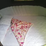 Triju Zvaigzduciu Palapine Vilniuje